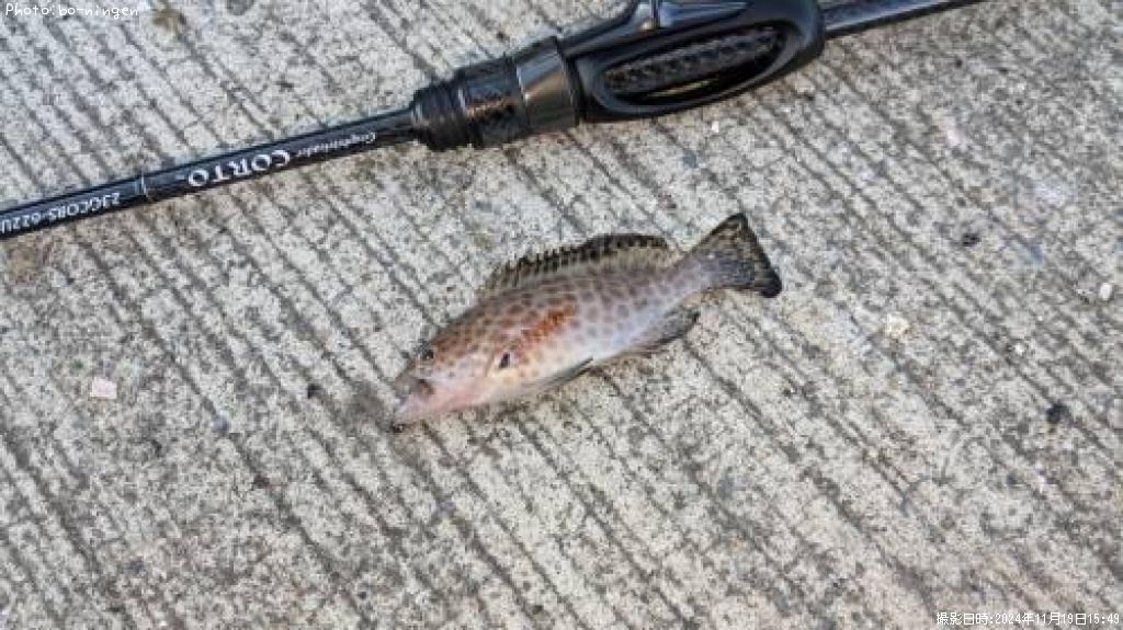 �������ϥ�