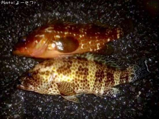 ������������