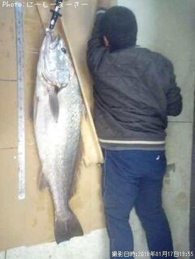 �����˥�