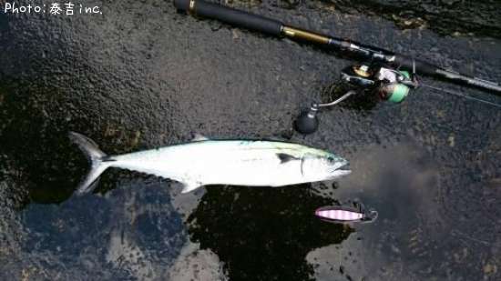 ��ʪ�ѡ��ȣ�