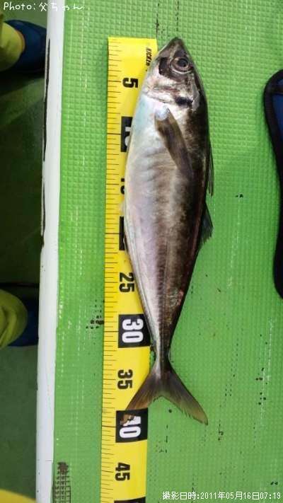 �饤�ȸ���