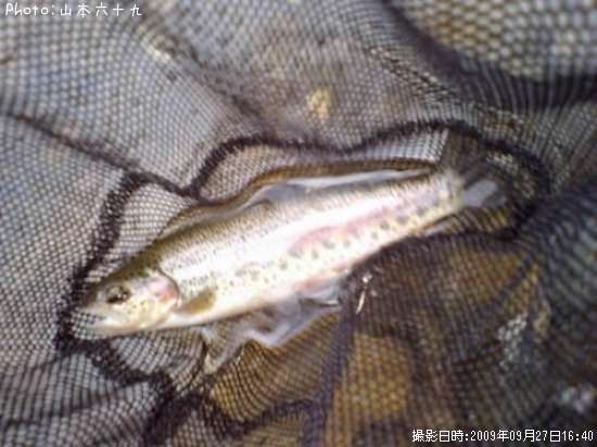 �쥤��ܡ��ȥ饦��