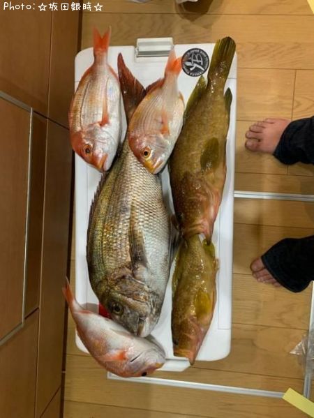 ��󥳥����������ϥ�