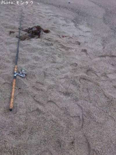 ���������֡����åɡ��꡼�륻�å�