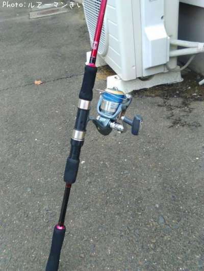 ���åɤȥ꡼��ʥͥ���