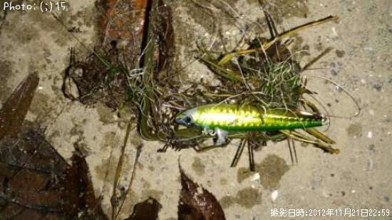 ������󥰥٥���