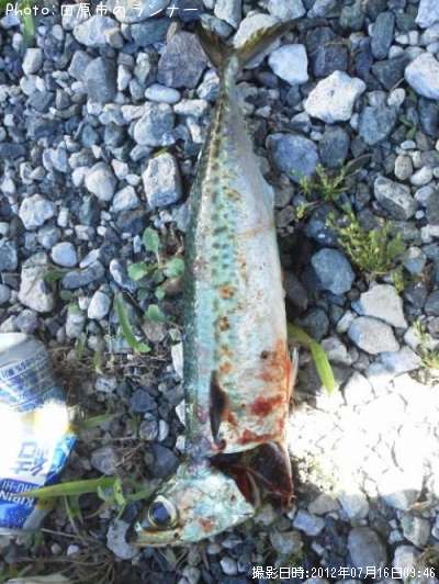 ���С����֥������ޥ�