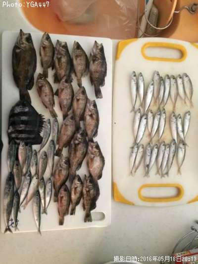 ���С���������Х�