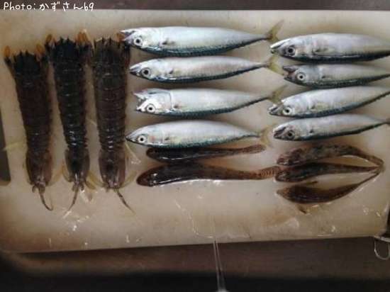 ���С��ϥ������㥳