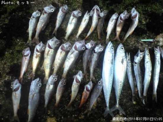 ���С���ġ����ޥ�