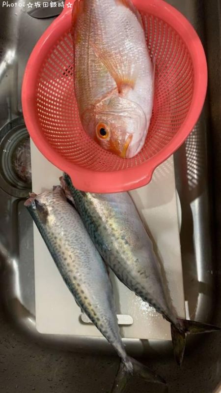 ���С���󥳥�����¾