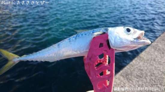 ���С������Х�