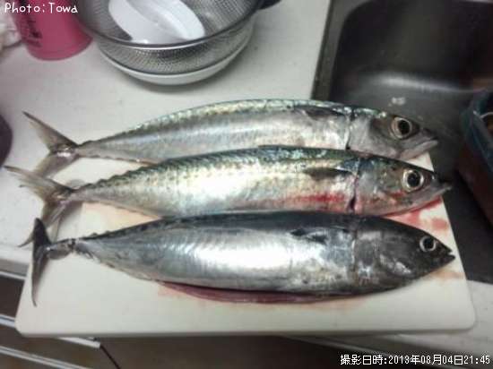 ���С�������