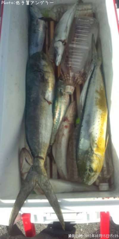 ���С����������ĥ�������