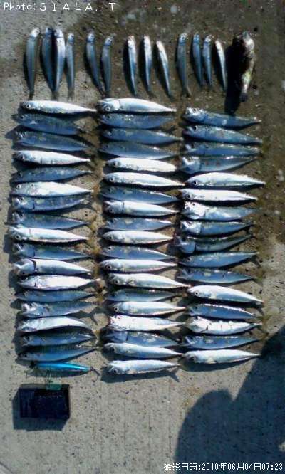 ���С������