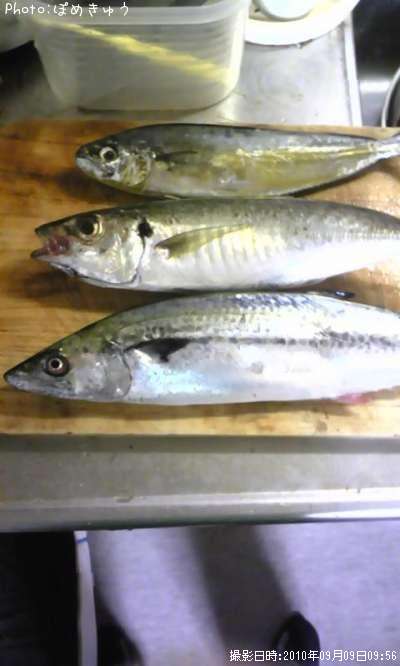 ������������