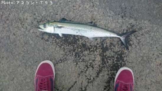 ���������������