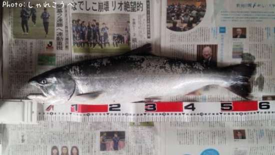 ������ޥ��ʳ��Ǥ���̡�