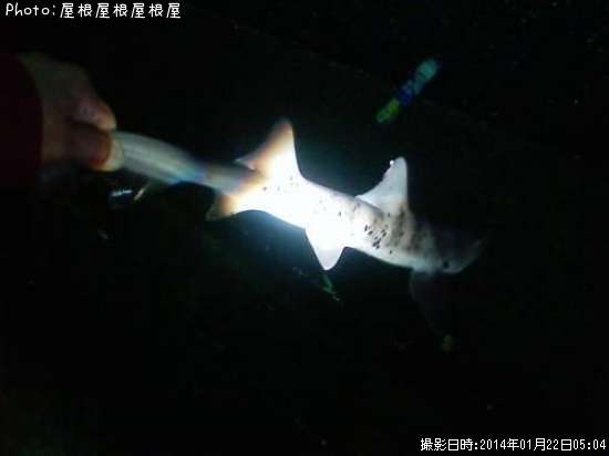 ����Фä�����ޡ�