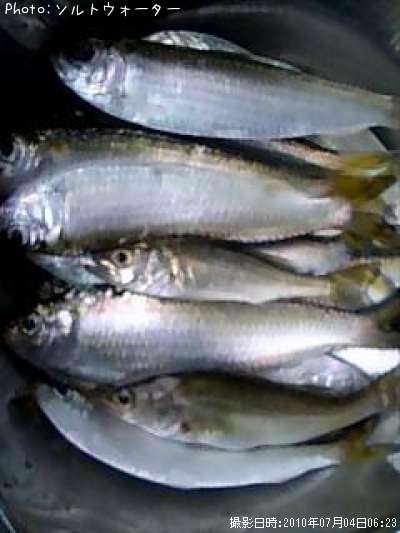 ���åѣ��䥻����