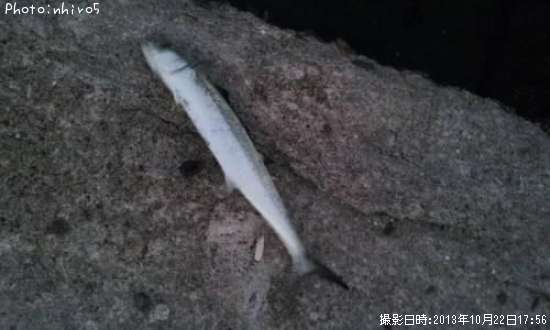 �����λ�