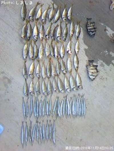 ����ꡡ����