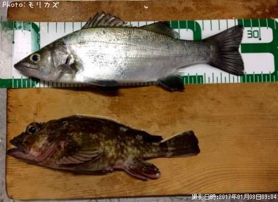 ��������������