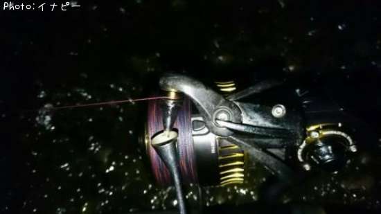 ��������ơ���