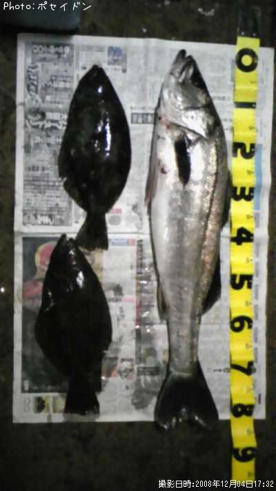 �����Х����ҥ��