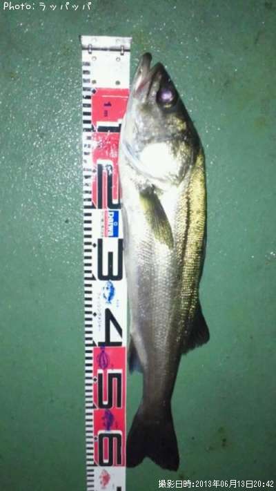 �����Х������Υ���