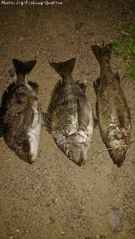 �����Х�����������