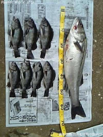 �����Х�����Х�