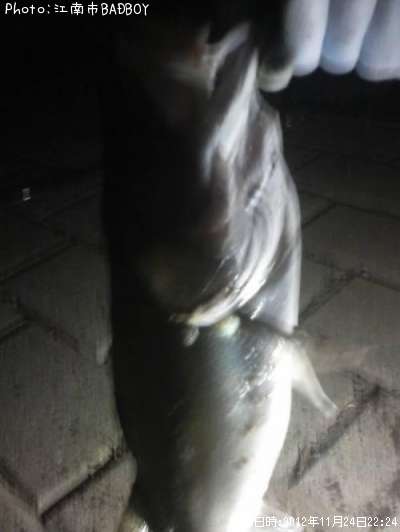 �����Х����˲��ʤ�