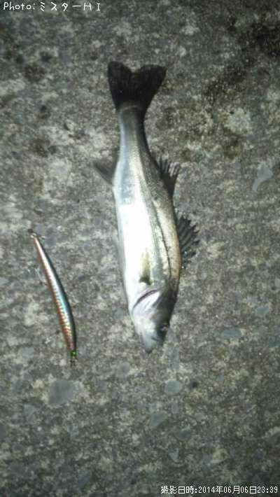 �����Х���������