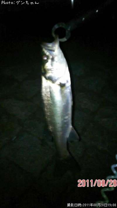 �����Х�����ʥ�������