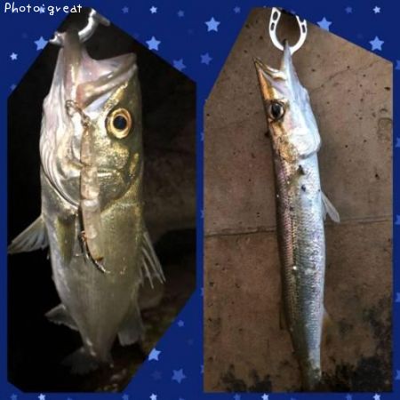 �����Х��Ȥ��ޤ�