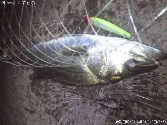 �����Х��ȥ�Х�