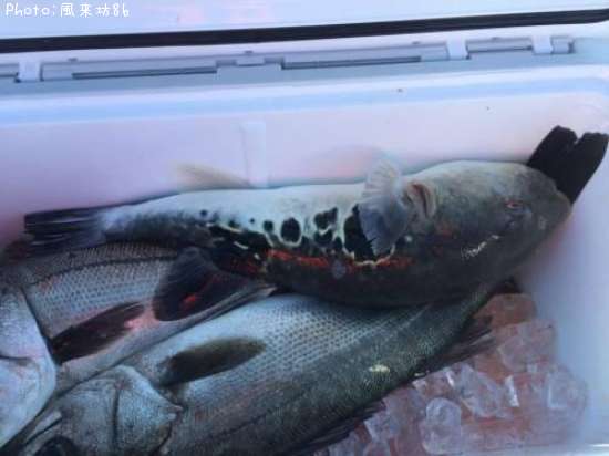 �����Х����ȥ�ե�