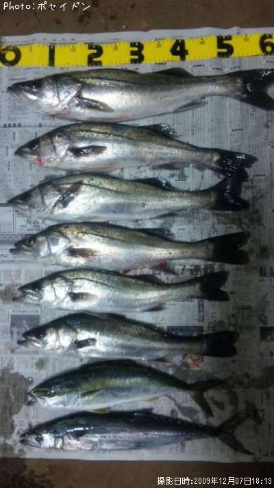 �����Х����䥺��������