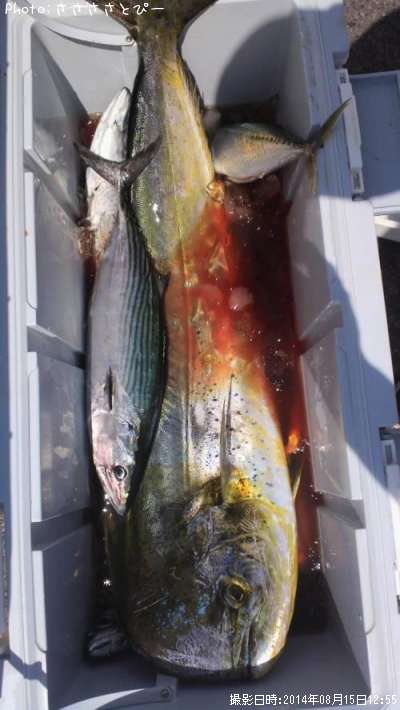 ��������ϥ��ĥ�������