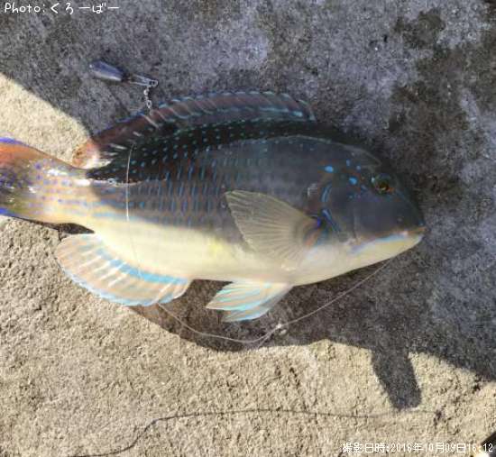 ��������٥�