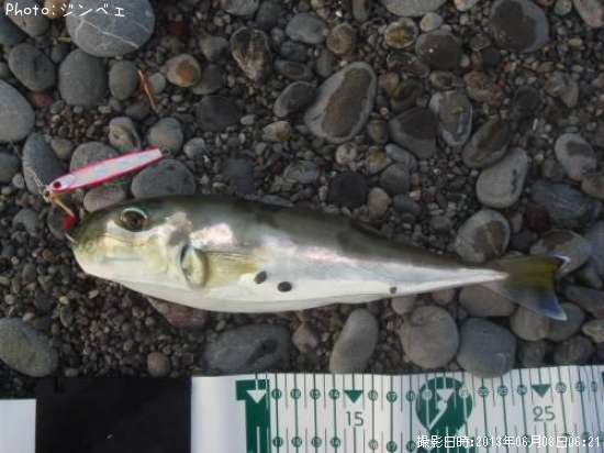 �������Хե�