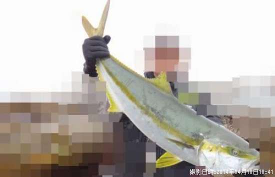 ���祢�ޥ�