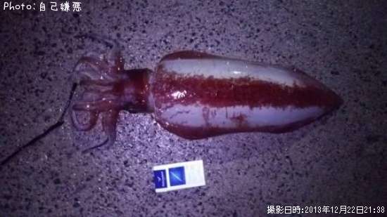 ���ǥ���