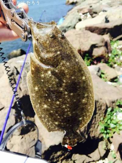 �������ҥ��