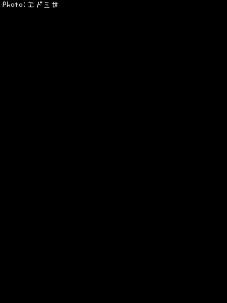 �����å�