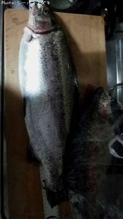 ��������إåɥȥ饦��