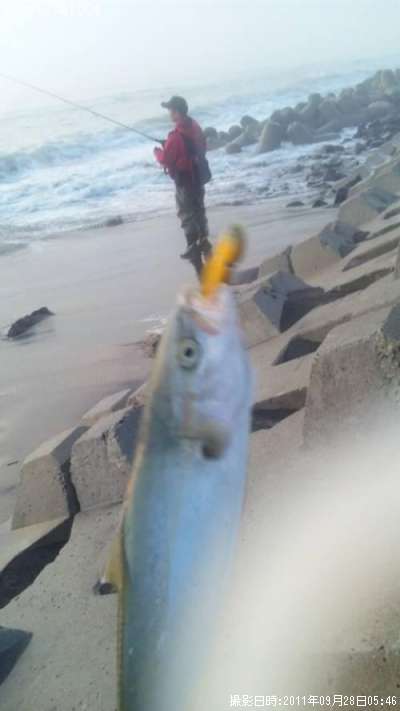 �����ޤ���ޤ������å��Ǥ�