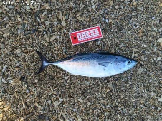 ����