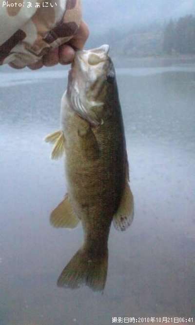 ���⡼��ޥ���